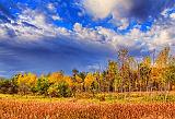 Autumn Landscape_28209-10